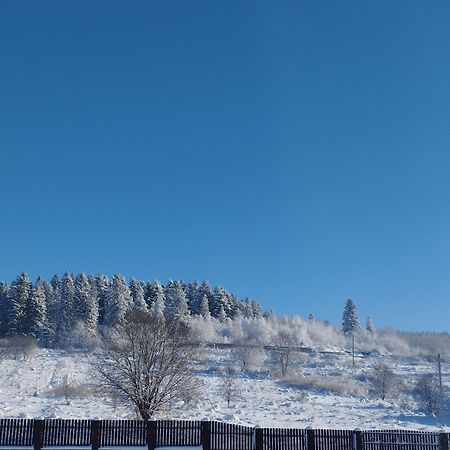 Перлина Карпат Apartment Skhidnytsia Exterior foto