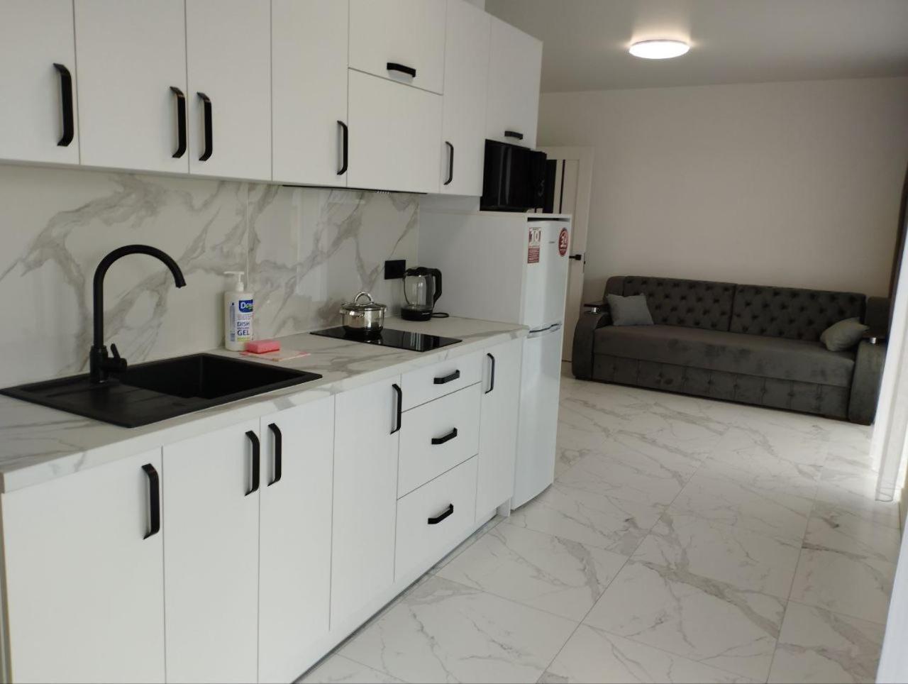 Перлина Карпат Apartment Skhidnytsia Exterior foto
